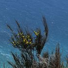 Achadas da Cruz / Madeira