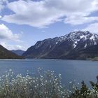 Achensee in Tirol