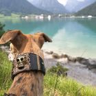 Achensee Sommer 18