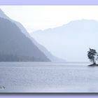 Achensee, Tirol. Blick nach Süden