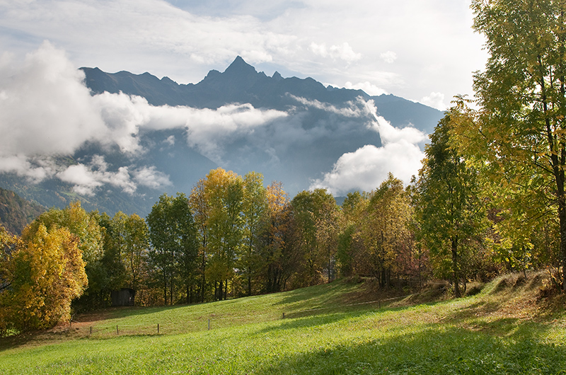 Acher im Herbst