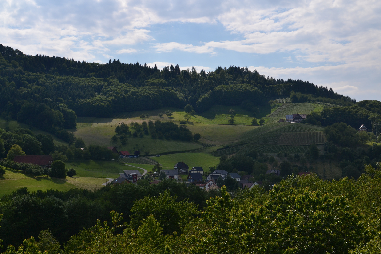 Achertal Blick auf Ganseck