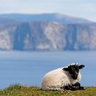 Achill Head