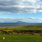 Achill Island, Dooagh