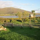 Achill Island