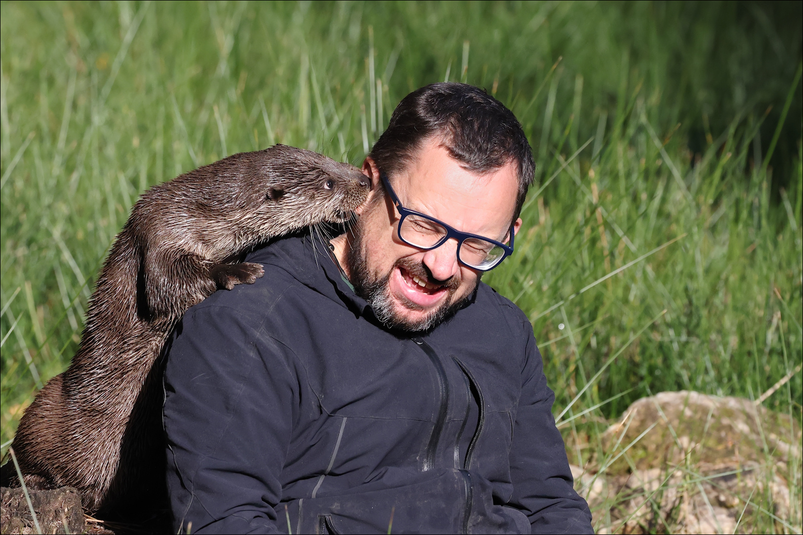 Achim Foto &amp; Bild | natur, tiere, raubtiere Bilder auf fotocommunity