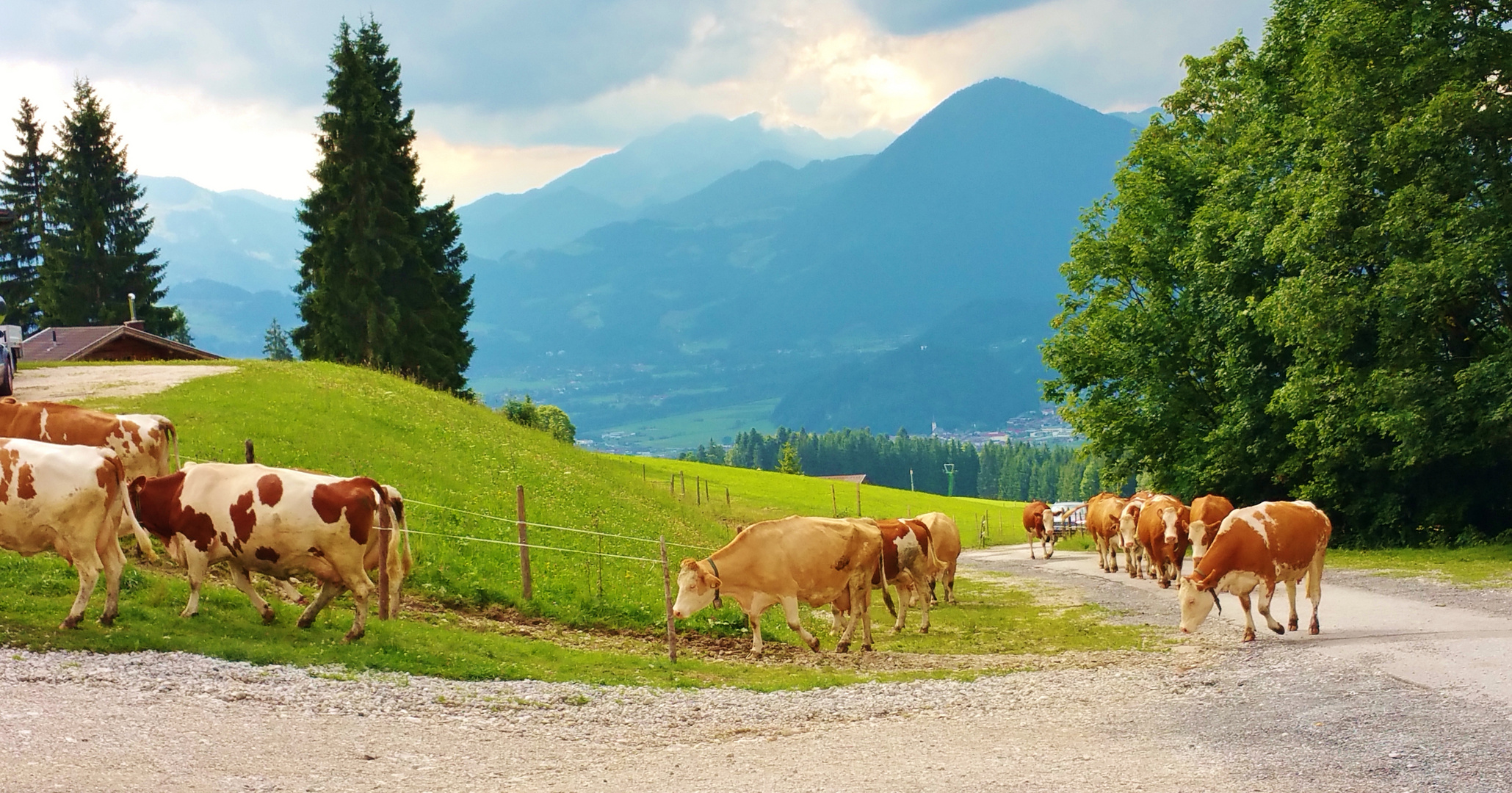 Achinger Alm in Ebbs