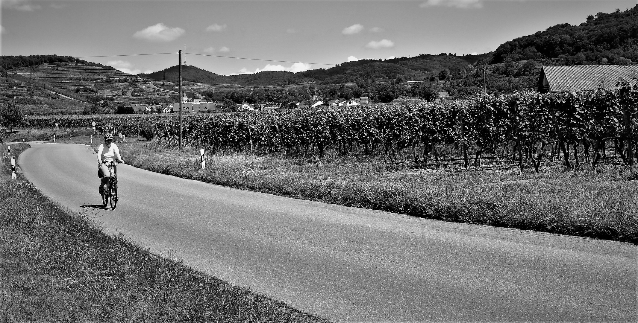 Achkarren - Die Straße nach Breisach herunter