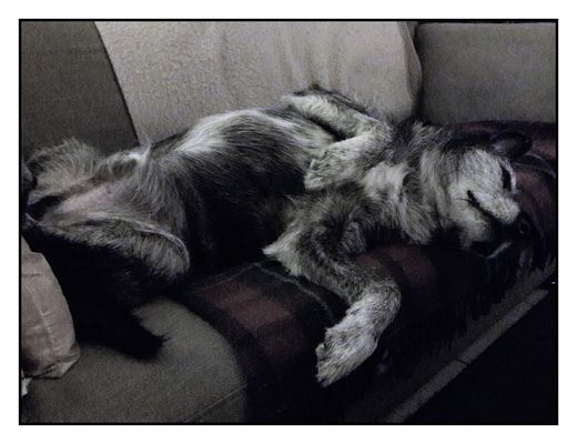 "Ach,so ein Sofa ist doch etwas herrliches ! "