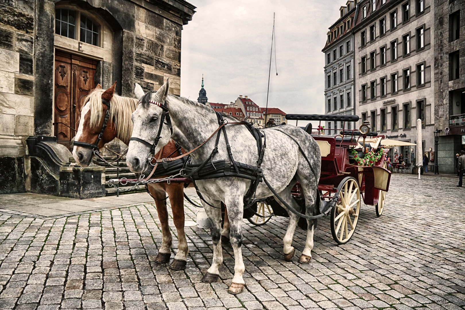 Acht Hufe für Dresden