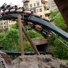 Achterbahn: Phantasialand ~ Black Mamba