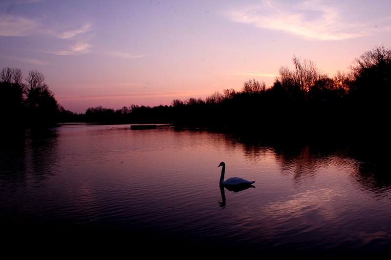 ~ Achterdieksee, Bremen ~