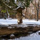 Achterlacke im Forstenrieder Park