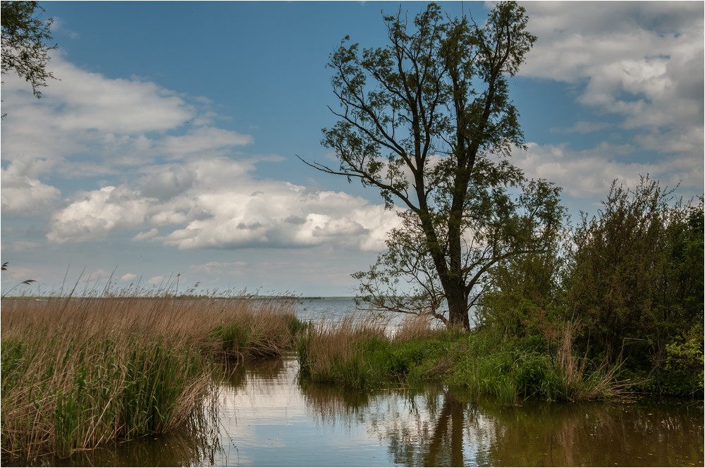 Achterwasser - Peenestrom