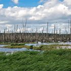 Achterwasser Usedom