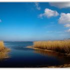 achterwasser usedom