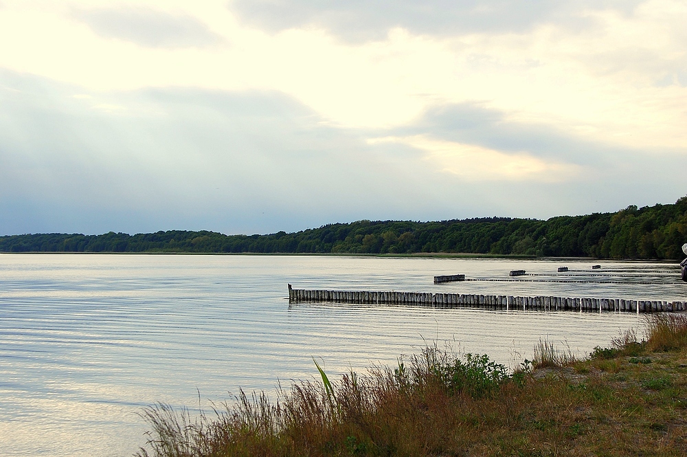 Achterwasser Usedom