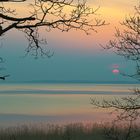 Achterwasser Usedom II