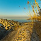 Achterwasser Usedom V