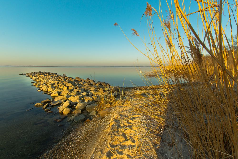 Achterwasser Usedom V