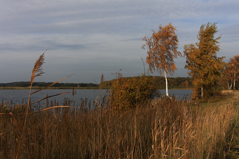 Achterwasserherbst...