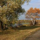 Achterwasserherbst  Part Two