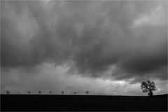 AchtplusEins