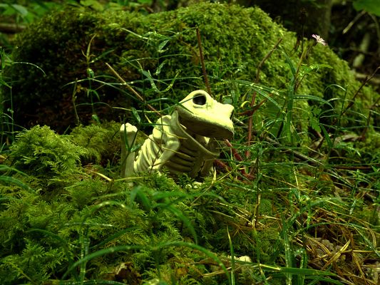 Achtung Achtung ....