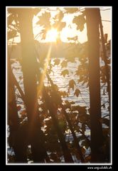 Achtung "Augen zu"... Die Sonne blendet :)