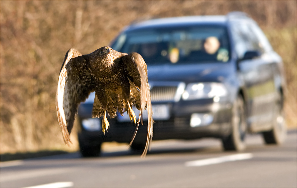 Achtung, Auto!!!