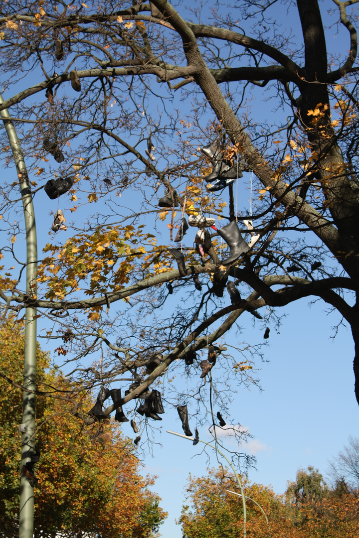 Achtung, Baum treibt Unwesen!