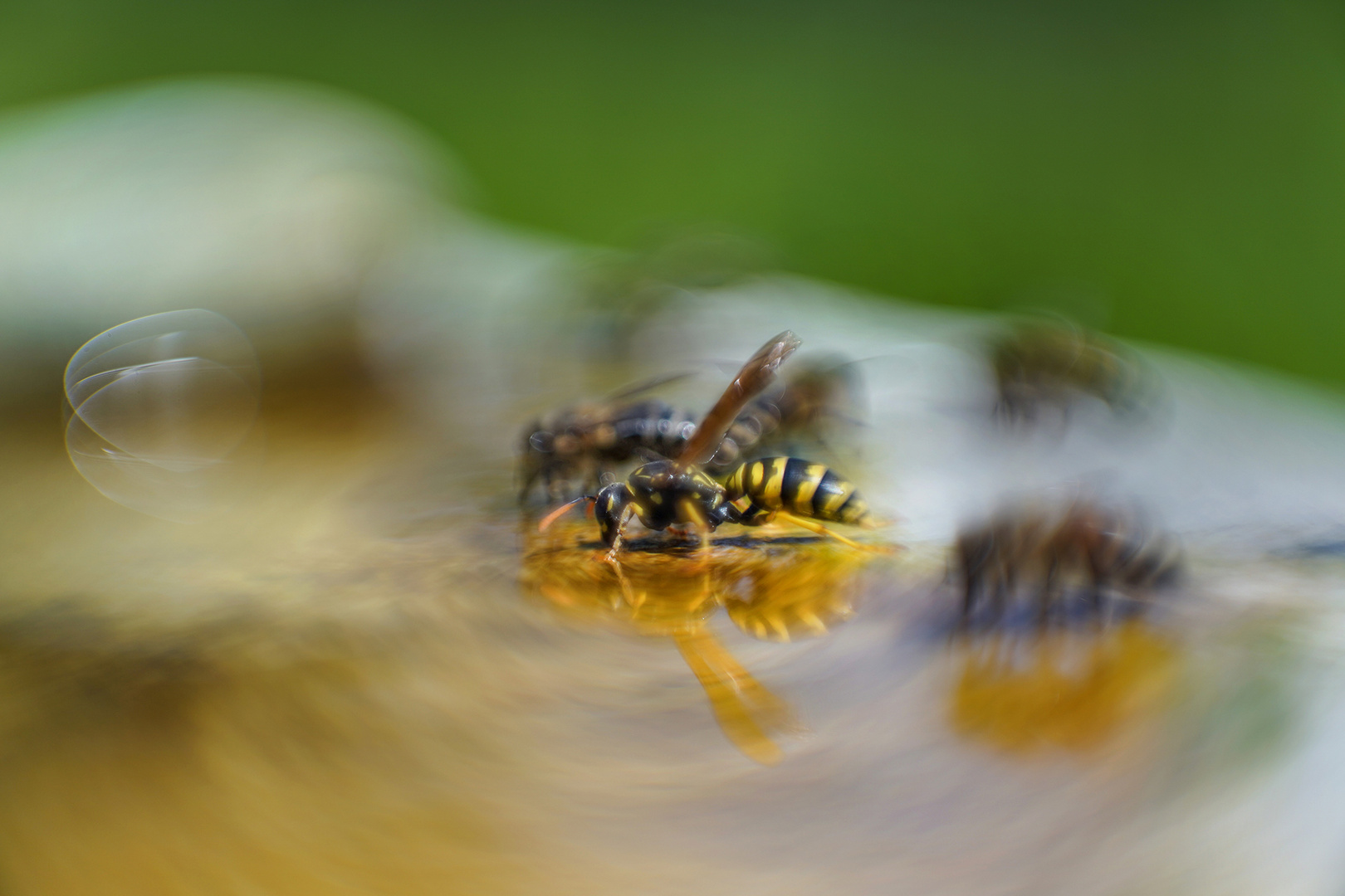 Achtung! Bienenrevier.