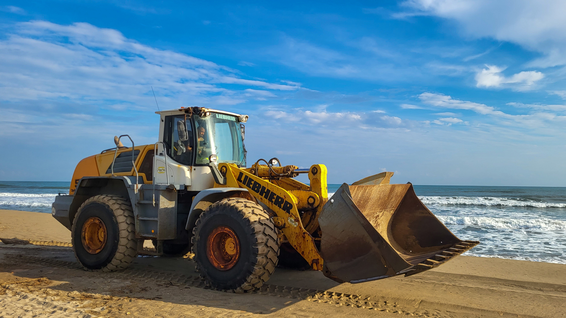 ACHTUNG! Bodo ist wieder am Strand 