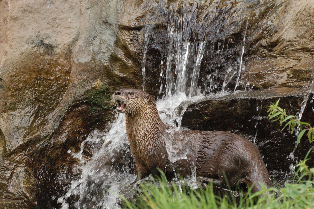 !!! Achtung Dusche !!!