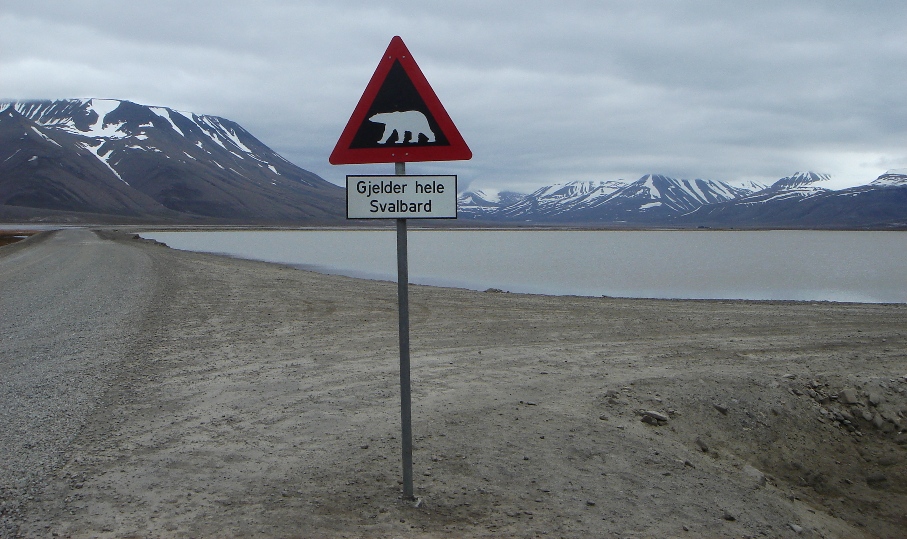 Achtung Eisbären - Svalbard - Norwegen - Spitzbergen - Juli 2007