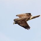 Achtung - Feindanflug auf 11 Uhr