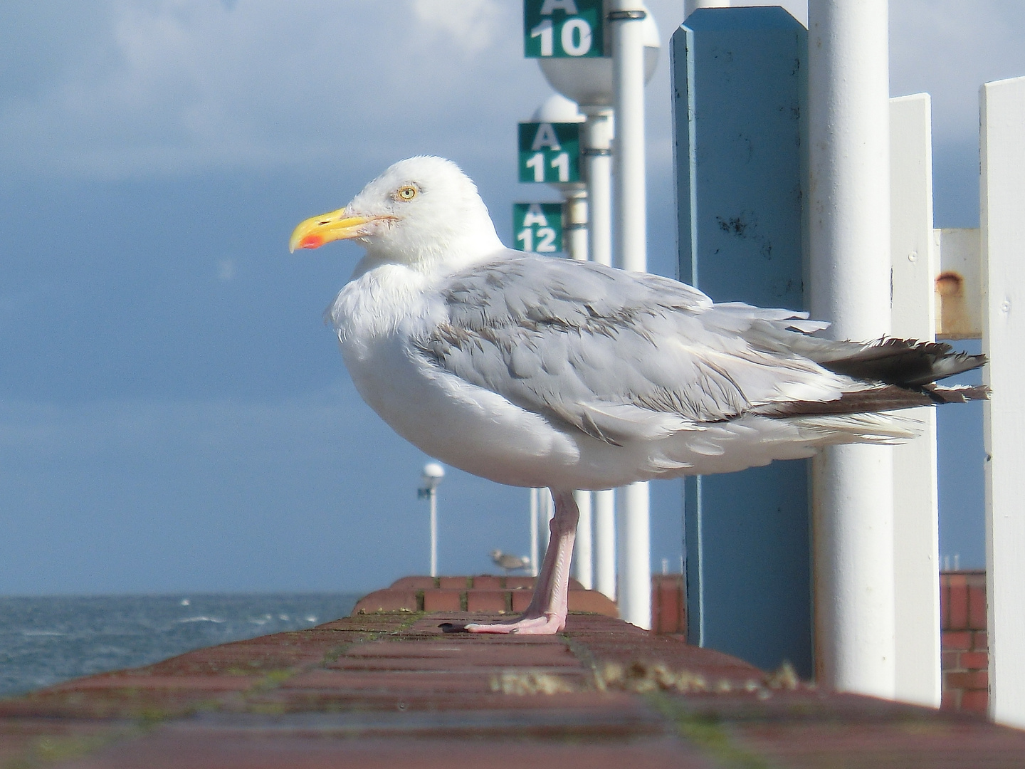 Achtung Foto! ... 