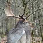 Achtung, Gefahr?