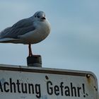 Achtung Gefahr