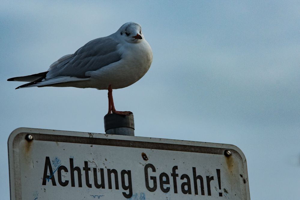 Achtung Gefahr