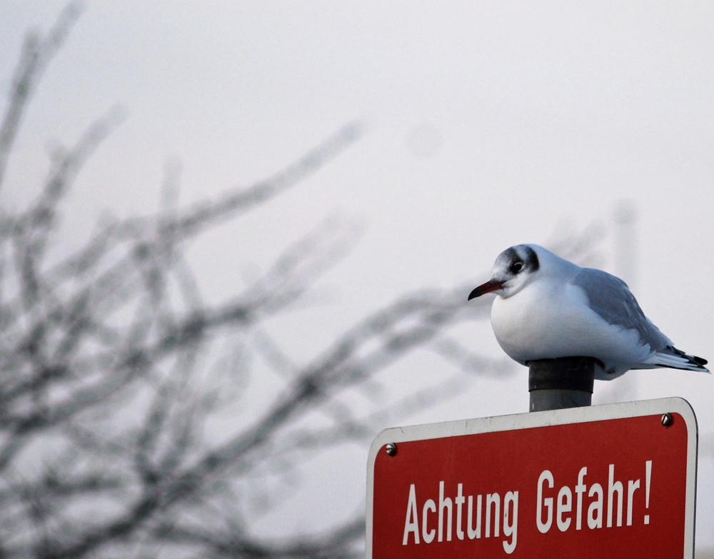 Achtung Gefahr!