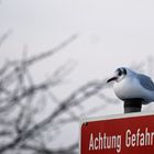 Achtung Gefahr!