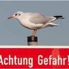 "Achtung Gefahr !" 