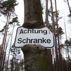 Achtung, gefräßiger Baum !