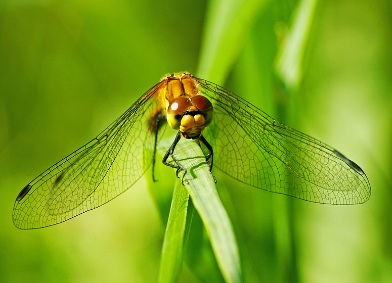 Achtung, gleich ist Abflug....