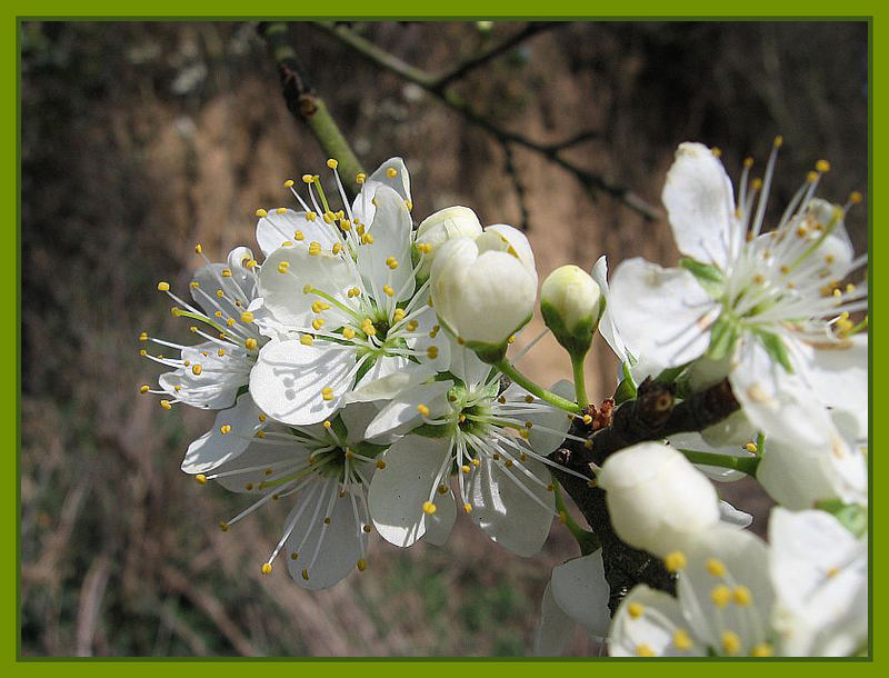 Achtung hier kommt der Frühling!