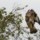 Achtung ...ich flieg jetzt los  