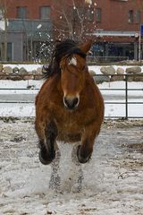 Achtung! Ich kommeee!