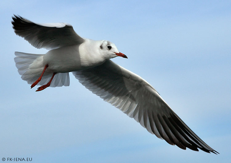 Achtung: Im Anflug