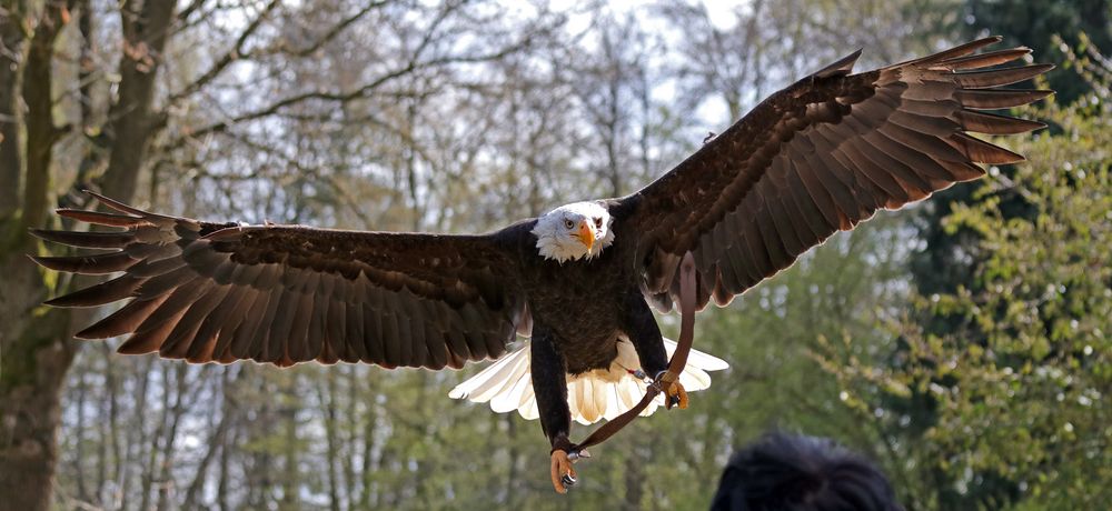 Achtung, jetzt komme ich